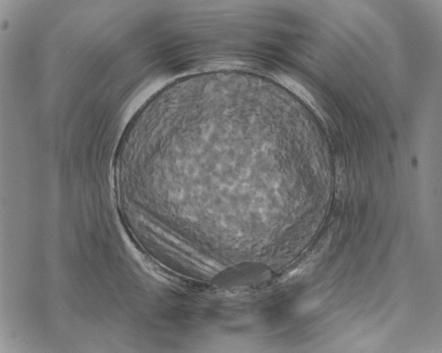 X0000072521047200608041527