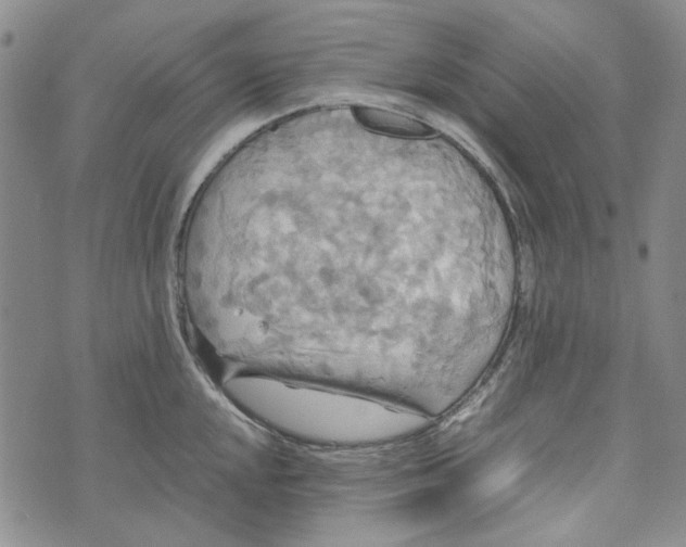 X0000072521048200608041527