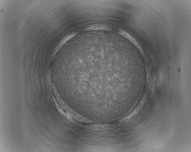 X0000072521049200608041527