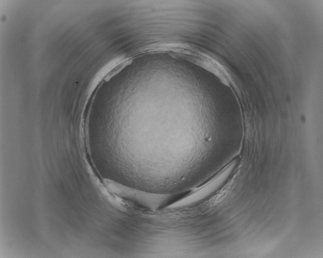 X0000072521050200608041527