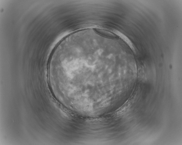 X0000072521051200608041527