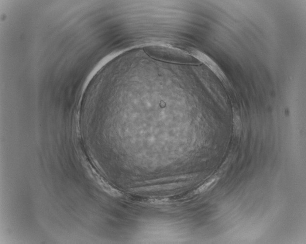 X0000072521052200608041527