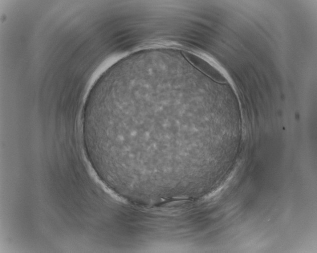 X0000072521053200608041527