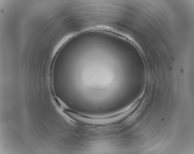 X0000072521054200608041527