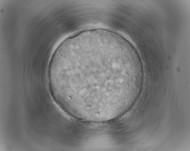 X0000072521056200608041527