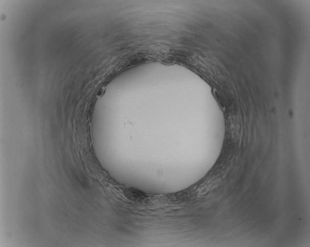 X0000072521057200608041526