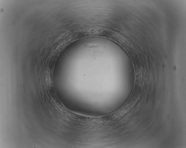 X0000072521058200608041526