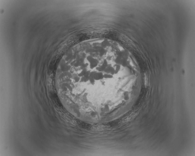 X0000072521059200608041526