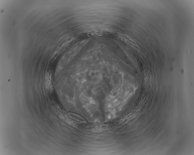 X0000072521060200608041526