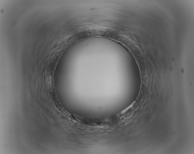 X0000072521061200608041526