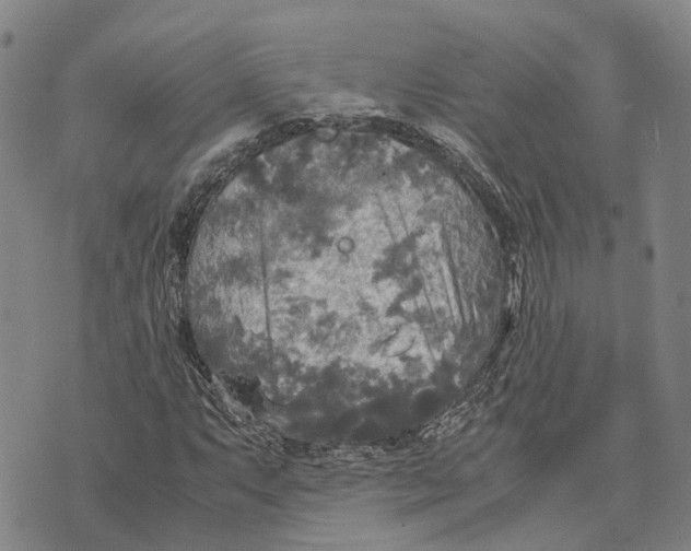 X0000072521063200608041526