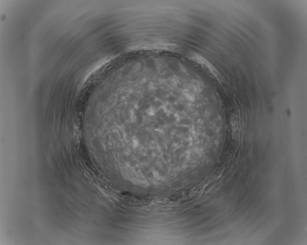 X0000072521064200608041526