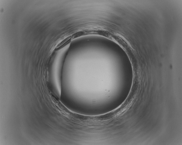 X0000072521065200608041526