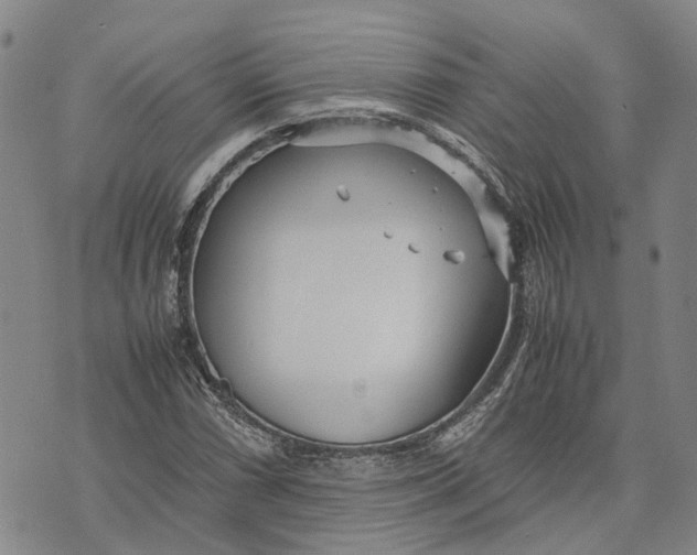 X0000072521066200608041526