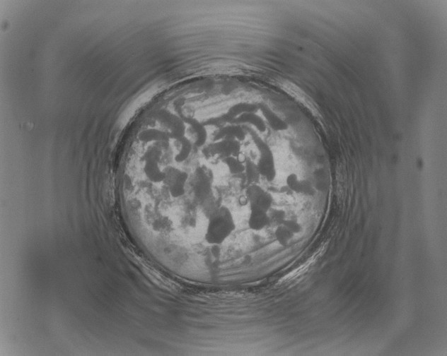 X0000072521067200608041526