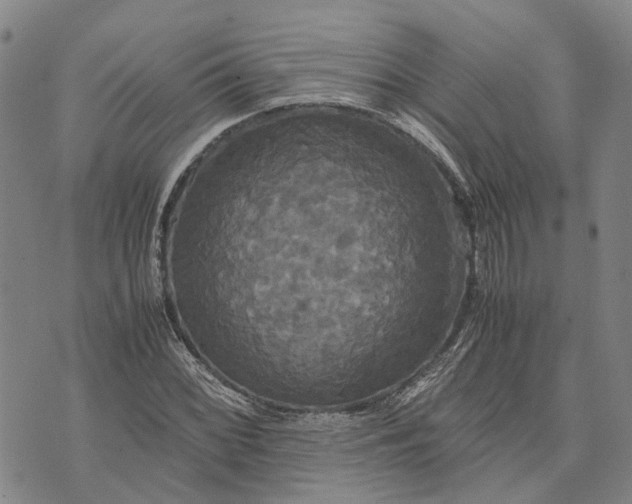 X0000072521068200608041526