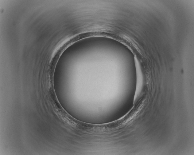 X0000072521069200608041526