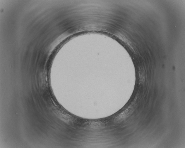 X0000072521070200608041526