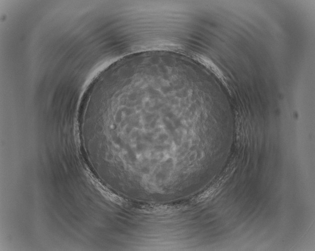 X0000072521072200608041526