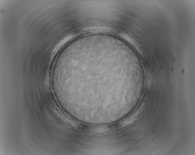 X0000072521074200608041526