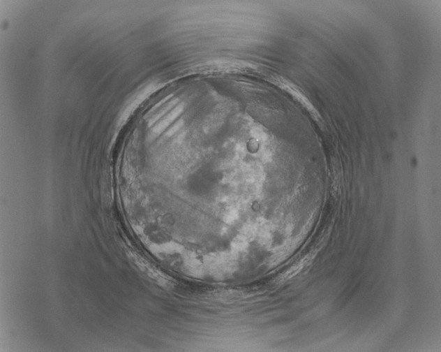 X0000072521075200608041526