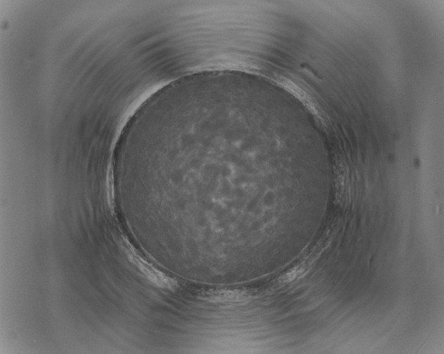 X0000072521076200608041526