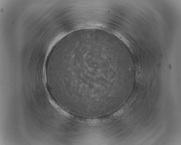 X0000072521080200608041526