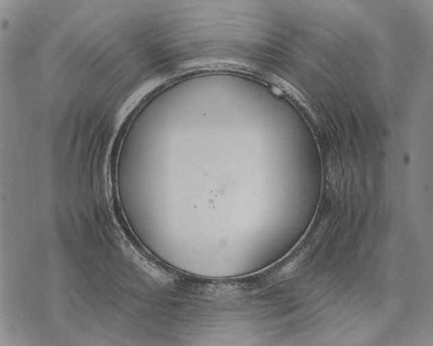 X0000072521082200608041526