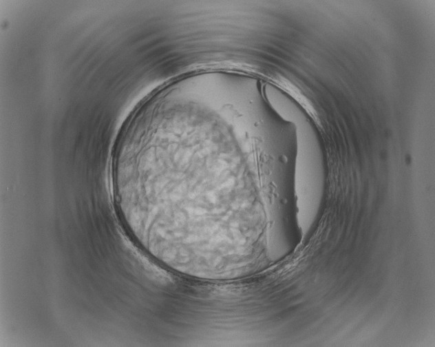 X0000072521084200608041526