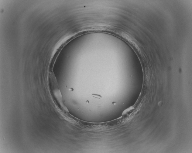 X0000072521085200608041526