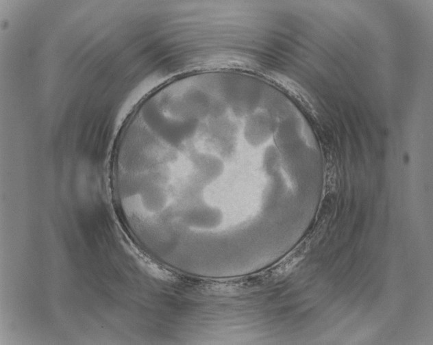 X0000072521086200608041526