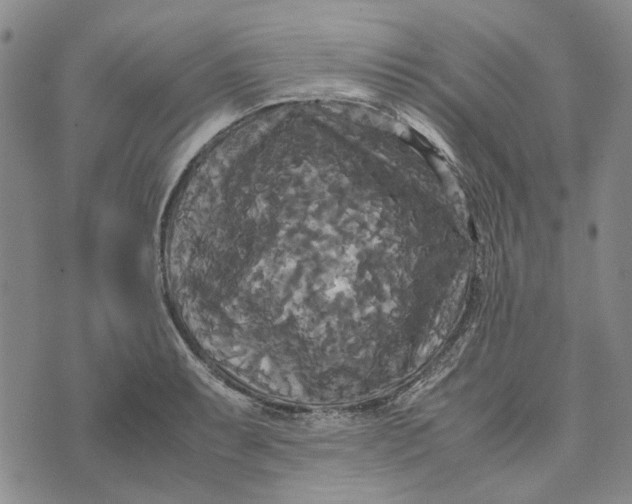 X0000072521087200608041526