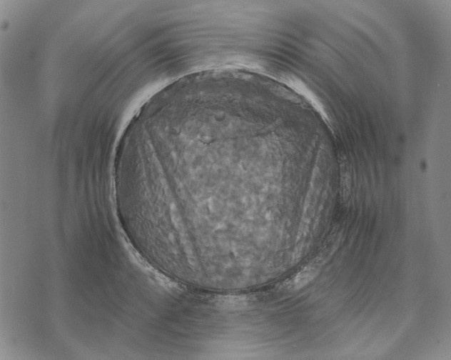 X0000072521088200608041526