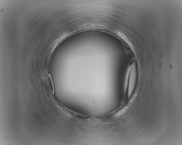 X0000072521089200608041526