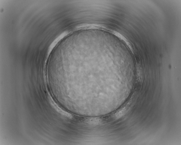 X0000072521090200608041526