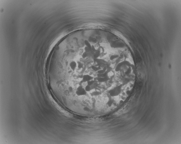 X0000072521091200608041526