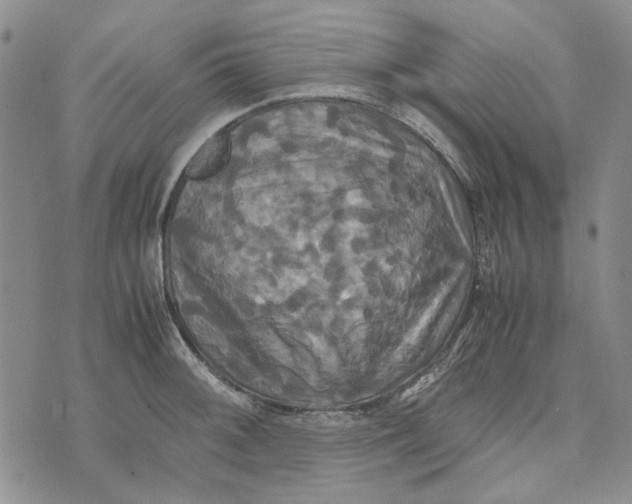 X0000072521092200608041526