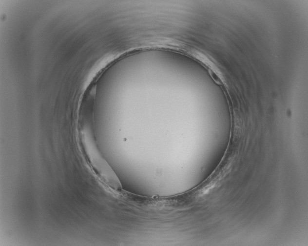 X0000072521093200608041526