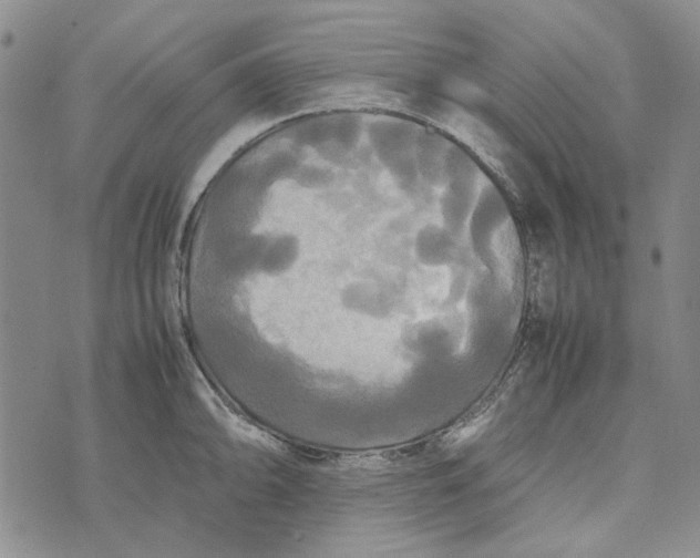 X0000072521094200608041526