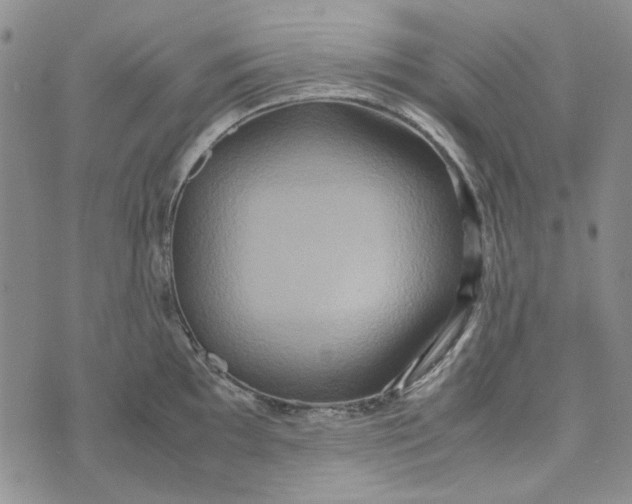 X0000072521097200608041525