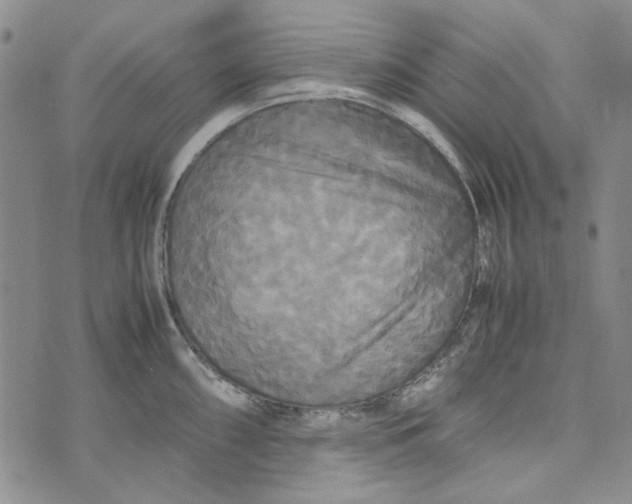 X0000072521098200608041525