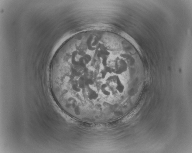 X0000072521099200608041525