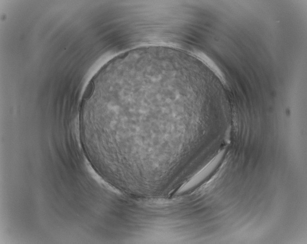 X0000072521100200608041525