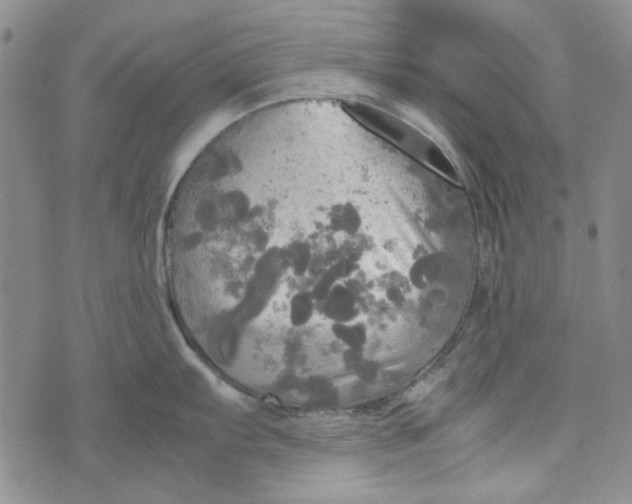 X0000072521103200608041525