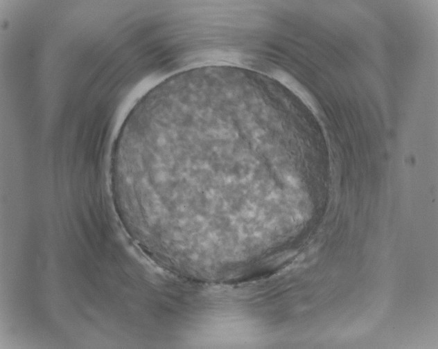 X0000072521104200608041525