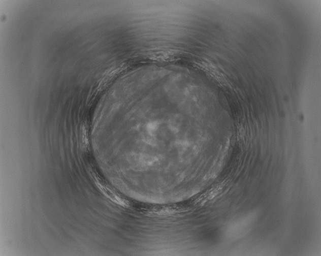 X0000072521106200608041525