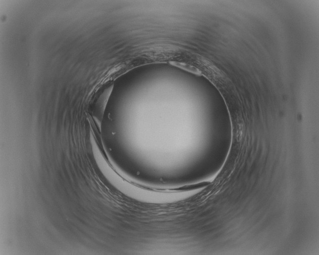 X0000072521108200608041525