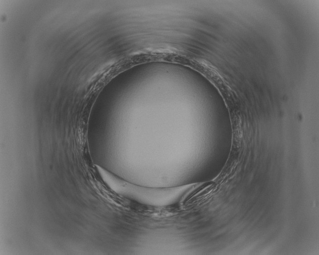 X0000072521110200608041525