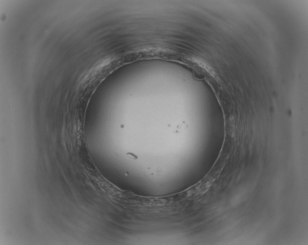 X0000072521111200608041525