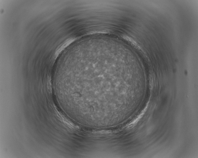 X0000072521113200608041525